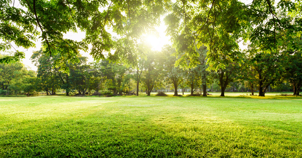 Wiosenny weekend za miastem – ucieknij od zgiełku i naładuj baterie w Radoczy!
