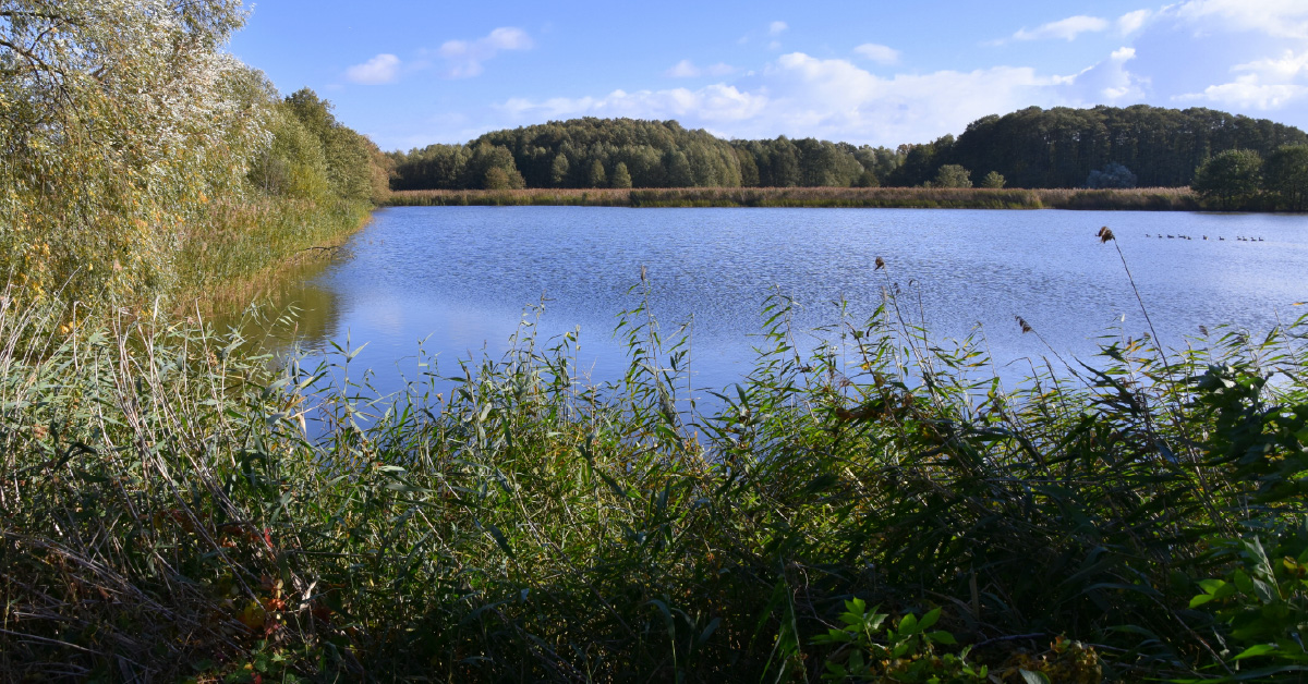 Jesień w Dolinie Karpia. Idealny czas na smaki i spokój w Hotelu Radocza