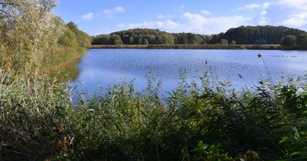 Jesień w Dolinie Karpia. Idealny czas na smaki i spokój w Hotelu Radocza