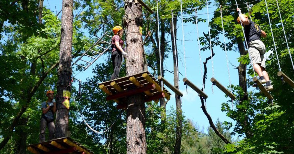 Park linowy – ciekawa forma rekreacji