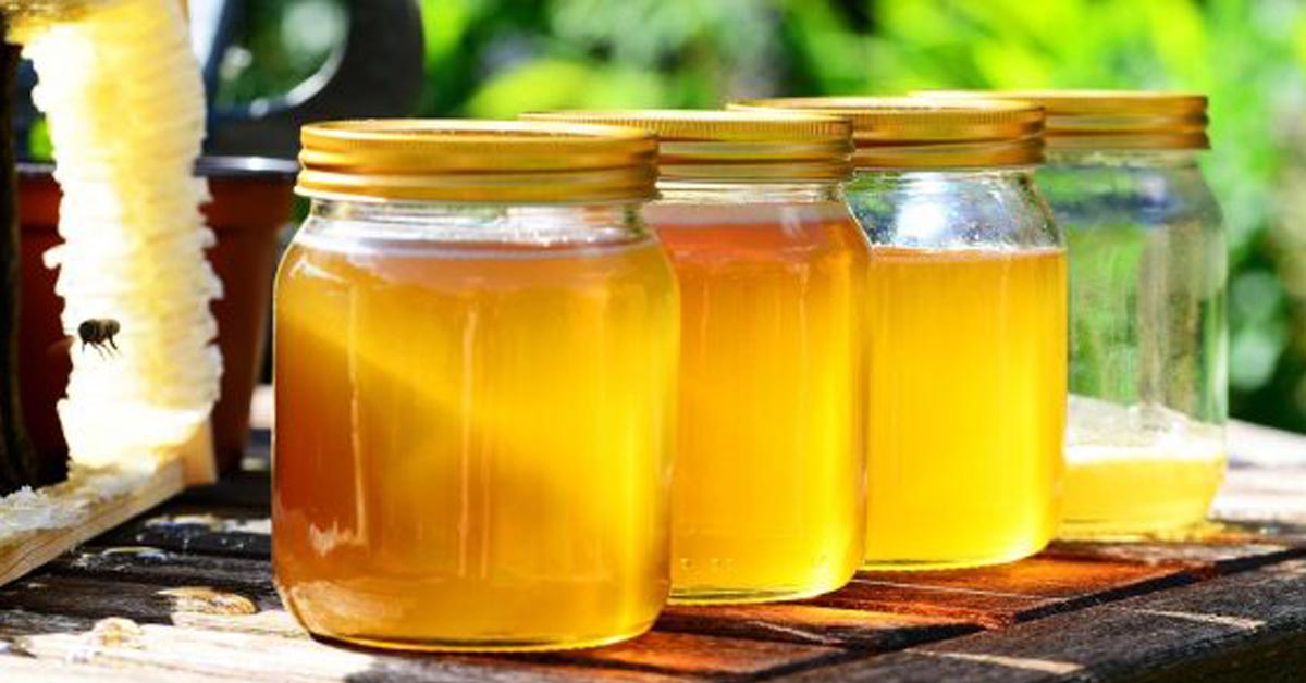 Atrakcja w regionie: Apilandia – muzeum miodu – wiedza i rozrywka w jednym