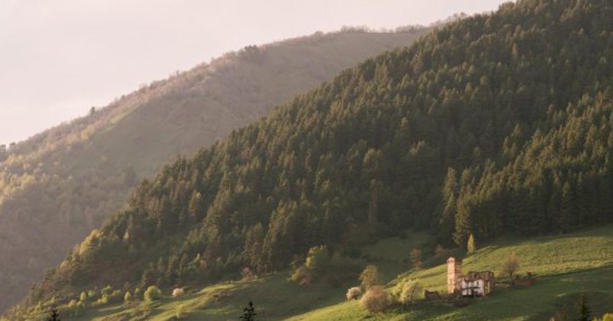 Letni wypoczynek w czasach pandemii – tylko w Radocza Park!