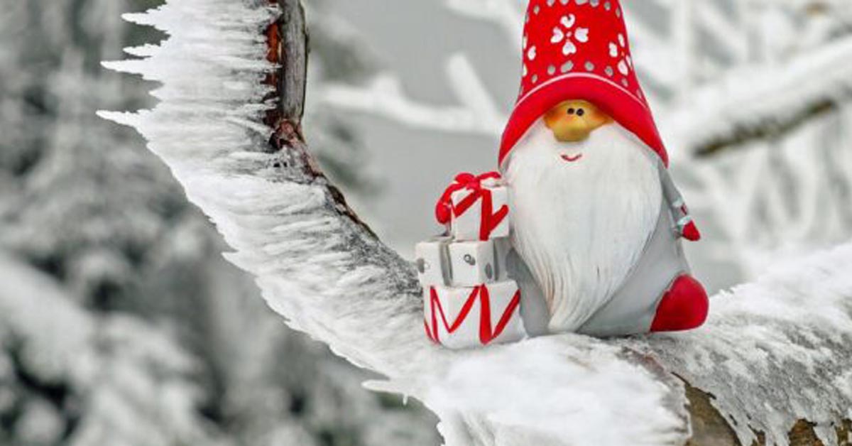 Mikołajkowy prezent, czyli wyjazd do Radocza Park