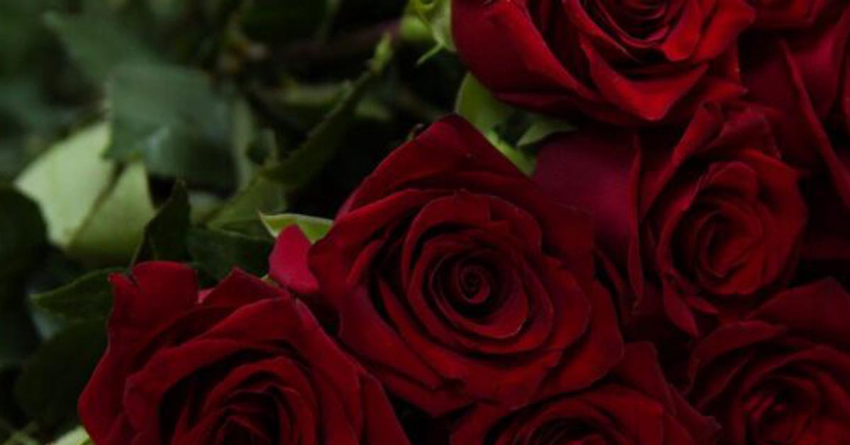 Gdzie spędzić Dzień Kobiet? Tylko w Radocza Park!