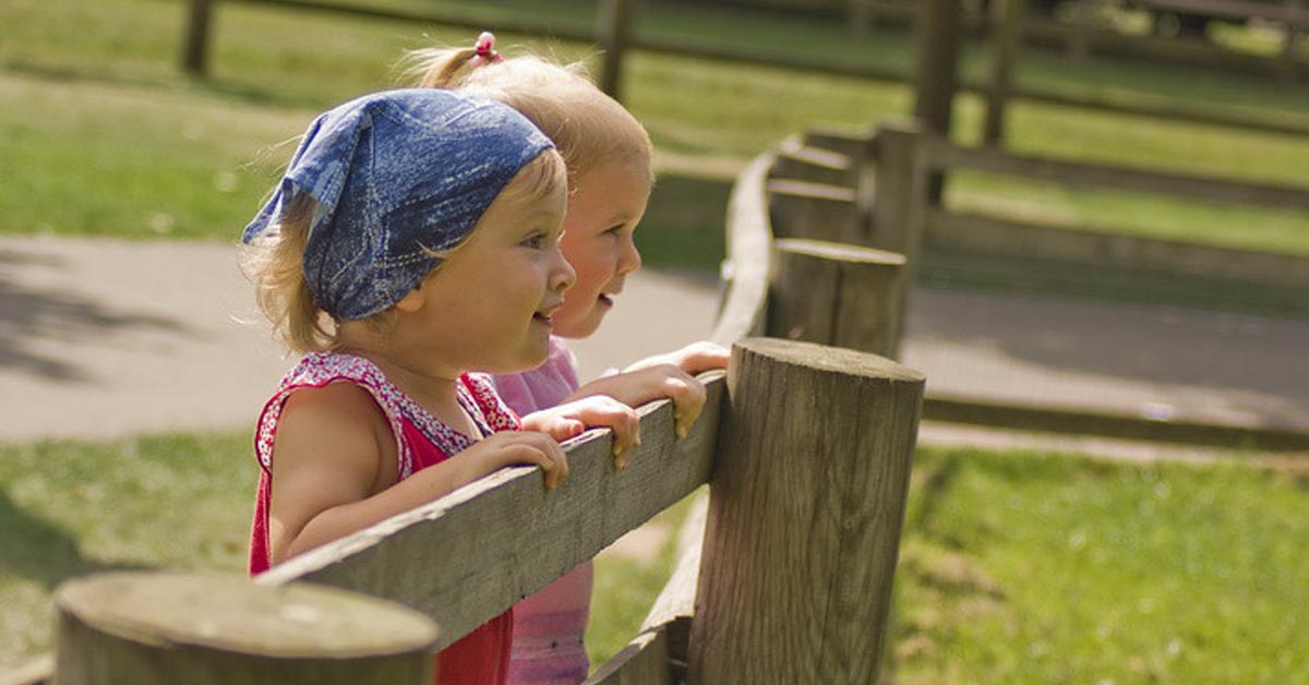 Najpopularniejsze atrakcje dla dzieci w okolicy Radoczy