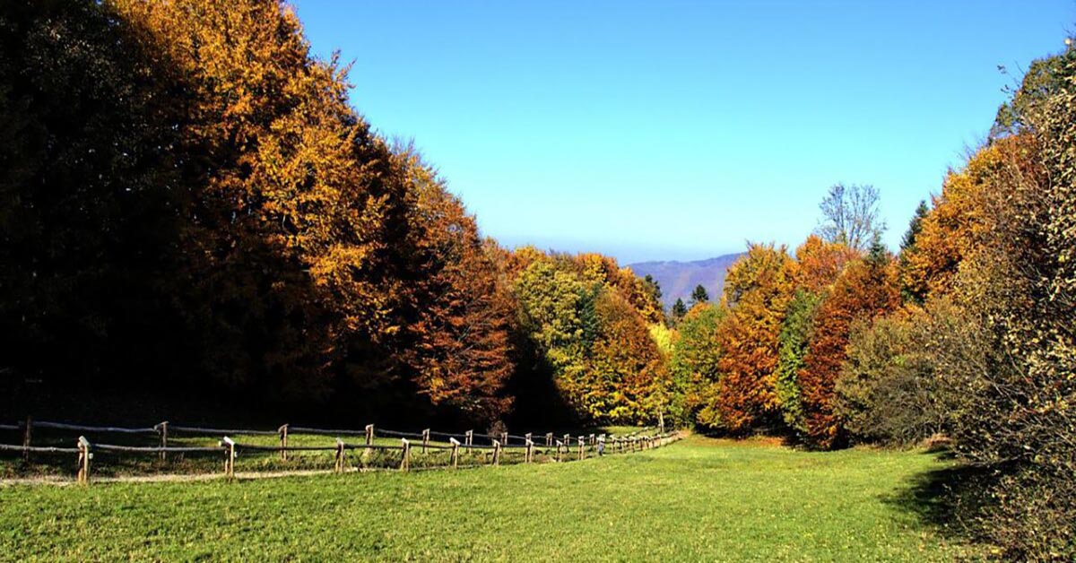 Majówka 2022 – jakie atrakcje czekają na naszych gości?