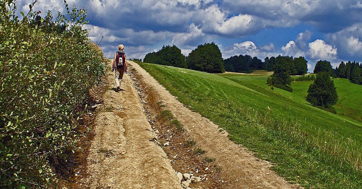 Długi weekend czerwcowy – spędź go w Radocza Park!