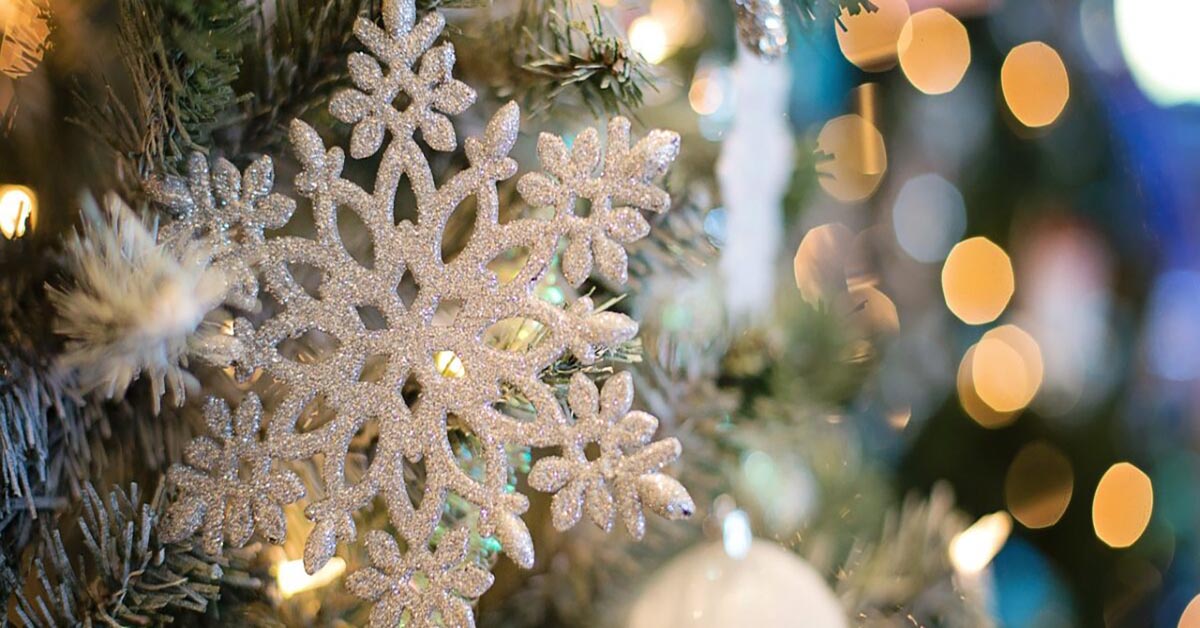 Święta Bożego Narodzenia 2022 w Radocza Park