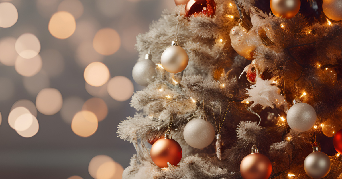 Boże Narodzenie w Hotelu Radocza Park